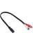 2x 3.5mm Aux Kadın Için 2 Erkek Rca Fiş Adaptörü Ses Y Dönüştürücü Kablosu (Yurt Dışından) 2