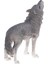 3 Inç Gri Howling Kurt Modeli Şekil Bebek Çocuk Doğa Eğitici Oyuncak Hediye (Yurt Dışından) 4