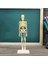 Insan Anatomik Anatomisi Iskelet Modeli Eğitim Ekran Iskelet Modelleri (Yurt Dışından) 3