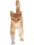 Simülasyon Mini Kedi Şekil Model Oyuncak Ev Pet Figürinler Playset Çocuk Hediye B Cat 2 (Yurt Dışından) 2