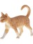 Simülasyon Mini Kedi Şekil Model Oyuncak Ev Pet Figürinler Playset Çocuk Hediye B Cat 2 (Yurt Dışından) 3