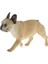 Simülasyon Mini Bulldog Şekil Modeli Oyuncak Köpek Figürinler Playset Çocuk Hediye B Bulldog 2 (Yurt Dışından) 3