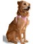 Air Mesh Kedi Köpek Göğüs Tasması Çift Reflektörlü, Terletmeyen Açık Pembe / Candy Pink 2
