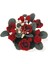 1:12 Dollhouse Minyatür Bitki Gül Gypsophila Çiçek Seramik Tencerede (Yurt Dışından) 1
