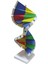 Karton Dna Sarmalı Modeli 3