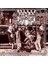 Alice Coopers / Greatest Hits (Plak) 1