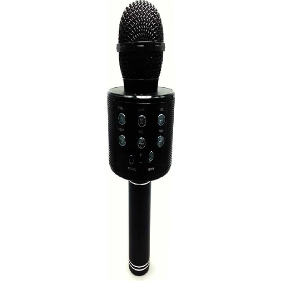 Wster Karaoke Mikrofon Siyah