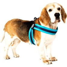 Max & Molly Q-Fit Matrix Köpek Göğüs Tasması Xsmall Sky Blue 36-38 cm