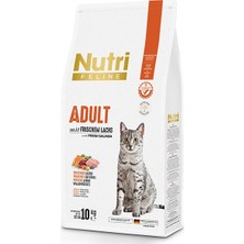 Nutri Feline Adult Salmon Somonlu Yetişkin Kedi Maması 10 kg