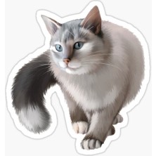Tsc Cins Kedi Iran Kedisi Araba Oto Sticker Etiket Renkli V2