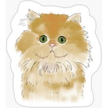 Tsc Cins Kedi Iran Kedisi Araba Oto Sticker Etiket Renkli V7