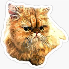 Tsc Cins Kedi Iran Kedisi Araba Oto Sticker Etiket Renkli Z1