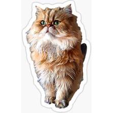 Tsc Cins Kedi Iran Kedisi Araba Oto Sticker Etiket Renkli Z2
