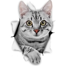 Tsc Kırık Cam Efekti Kedi Araba Oto Sticker Etiket Z1