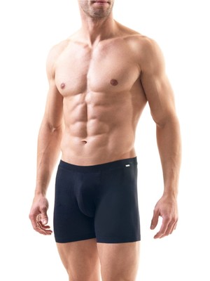 Silver Lacivert Boxer 9313