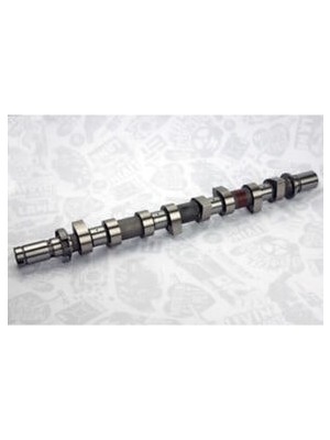 Mega Avm Eksantrik Mili Sensörlü Kng Iıı -Clıo Iıı 1.5 Dcı 2010 Fluence 110BG Xc