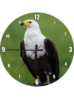 Cakatablo Kaya Üzerindeki Kartal Yeşil Arkaplan Duvar Saati (Çap 50X50 cm )