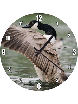 Cakatablo Su Üzerinde Kanada Kazı Görseli Duvar Saati (Çap 50X50 cm )