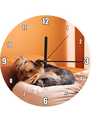 Cakatablo  Minder Üzerinde Kıvrılan Kahverengi Köpek Duvar Saati (Çap 50X50 cm )