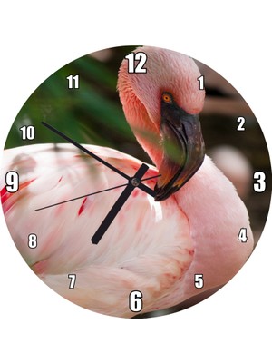 Cakatablo Pembeli Beyazlı Amerikan Flamingosu Görseli Duvar Saati (Çap 30X30 Cm)