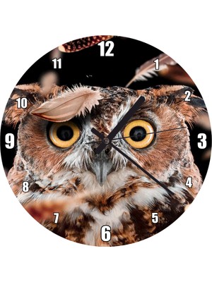 Cakatablo Şaşkın Baykuş ve Uçuşan Tüyleri Duvar Saati (Çap 30X30 Cm)