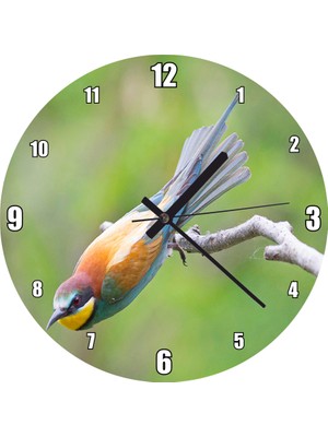 Cakatablo Daldan Ayrılmak Üzere Olan Rengarenk Kuş Duvar Saati (Çap 30X30 Cm)
