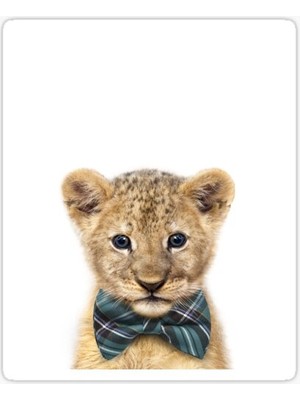 Tsc Ufak Bebek Aslan Araba Oto Sticker Etiket Renkli W6