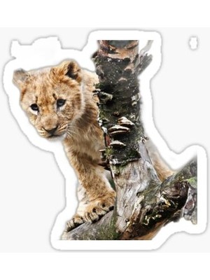 Tsc Ufak Bebek Aslan Araba Oto Sticker Etiket Renkli Z6