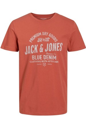 JACK  &  JONES Jack & Jones Audience T shirt in regular fit  Small & Medium only 