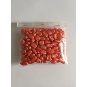 The Best Online Hibrit Mısır Tohumu 50 Gr.