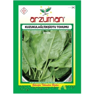 Kuzukulağı Ekşi Otu Tohumu