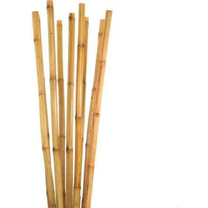 Tunç Botanik Bambu Bitki Destek Çubuğu 75 cm 10 Adet