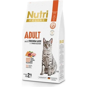 Nutri Feline Adult Salmon Somonlu Yetişkin Kedi Maması 2 kg