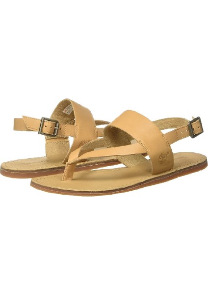 Carolista Ankle Strap Thong Sandalet Doe - TB0A1JFLF471