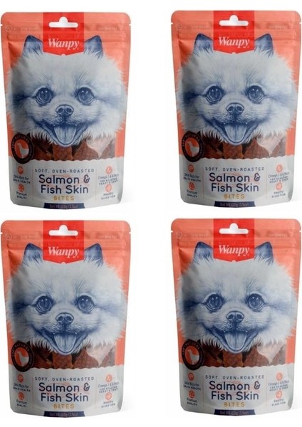 Gerçek Somon Dilimleri Köpek Ödülü 100 gr x 4 Adet