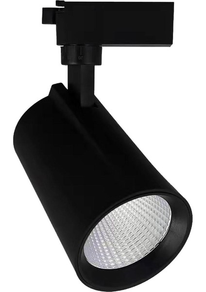 Global K2 KTL139 30W 6500K Beyaz LED Ray Spot Armatür