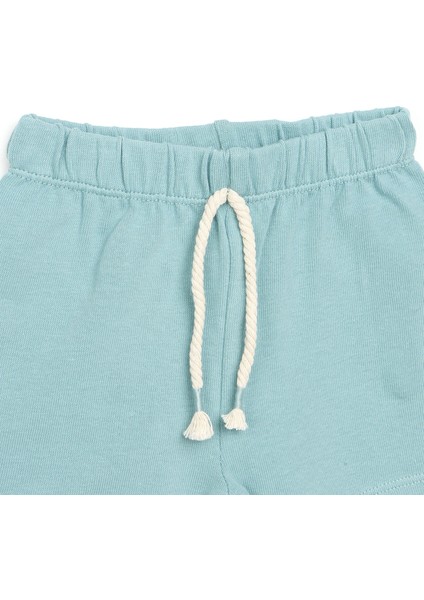 HelloBaby Basic Erkek Bebek Şort fiyatları