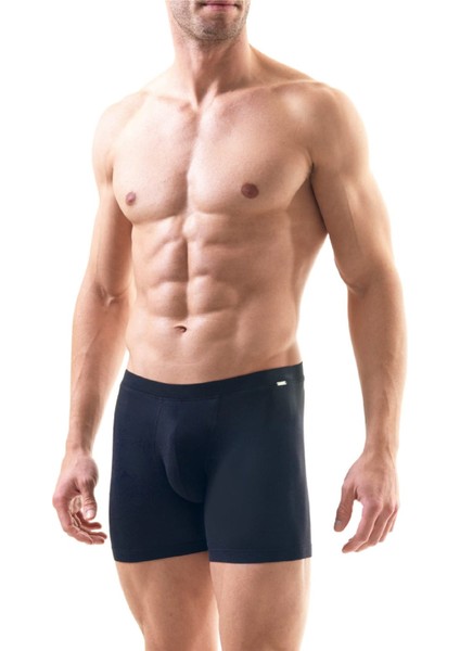 Silver Lacivert Boxer 9313