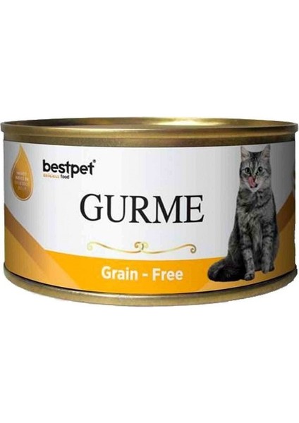 Best Pet Gurme Jöleli Tavuklu Yetişkin Kedi Konservesi 100 gr