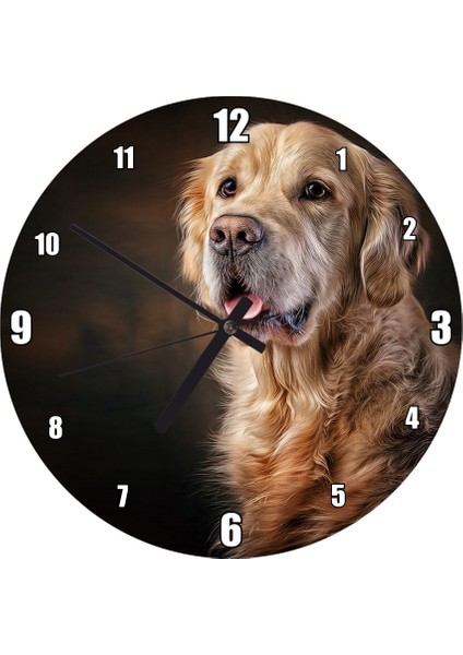 Cakatablo Güzel Golden Retriever Köpek Resimleri Duvar Saati (Çap 50X50 cm )