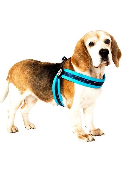 Q-Fit Matrix Köpek Göğüs Tasması Xsmall Sky Blue 36-38 cm