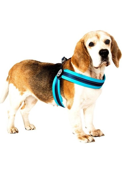 Q-Fit Matrix Köpek Göğüs Tasması Large Sarı 58-62 cm