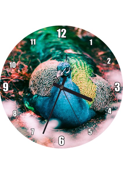 Cakatablo Mavi Yeşil Renkli Tavuskuşu Görseli Duvar Saati (Çap 30X30 Cm)