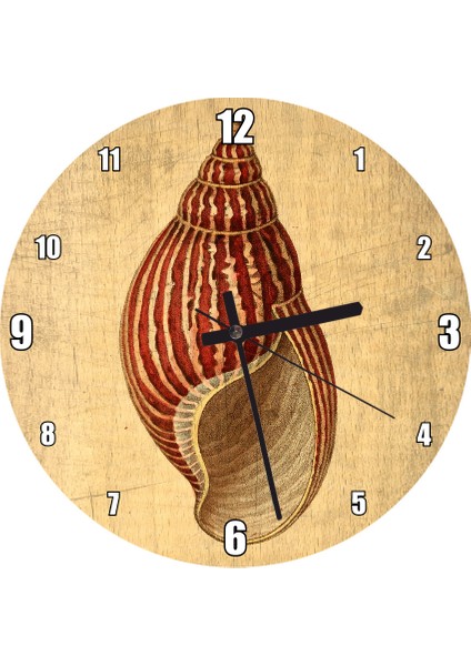 Cakatablo Ahşap Zeminde Deniz Kabuğu Duvar Saati (Çap 30X30 Cm)