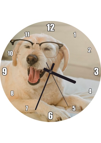 Cakatablo Gözlüklü Beyaz Sevimli Köpek Duvar Saati (Çap 30X30 Cm)