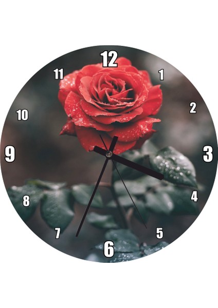 Cakatablo Kırmızı Gül ve Yapraklarında Damlalar Duvar Saati (Çap 50X50 cm )