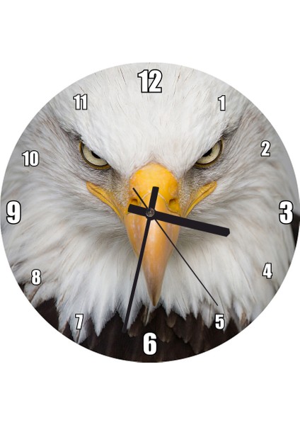 Cakatablo Akbaşlı Amerikan Kartalı Ön Görünüş Duvar Saati (Çap 30X30 Cm)
