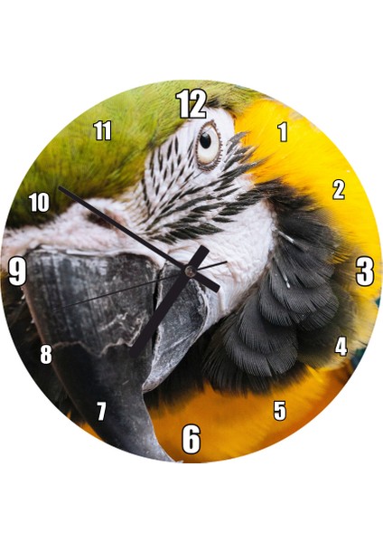 Cakatablo Sarı Mavi Renkli Amerikan Papağanı Görsel Duvar Saati (Çap 30X30 Cm)