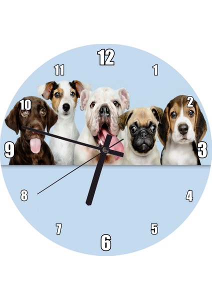Cakatablo Sevimli 5 Köpek Portre Gökyüzü Arkaplan Duvar Saati (Çap 50X50 cm )