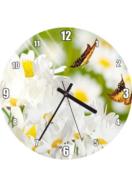 Cakatablo Papatyalar ve Iki Küçük Kelebek Görseli Duvar Saati (Çap 50X50 cm )
